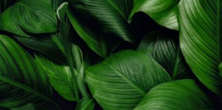 TechREG CHRONICLE - June 2023 - ESG