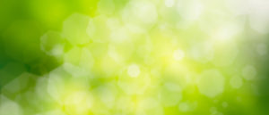 2-EUROPEAN COMMISSION SETS THE AGENDA: ESG REPORTING REQUIREMENTS IN THE EU AND THE U.S. By Michael Mencher & Emma Bichet