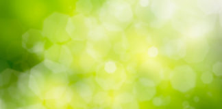 2-EUROPEAN COMMISSION SETS THE AGENDA: ESG REPORTING REQUIREMENTS IN THE EU AND THE U.S. By Michael Mencher & Emma Bichet