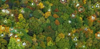 3-THE STATE OF ESG IN ANTIRUST IN EUROPE By Christian Ritz, Benedikt Weiß & Tim Büttner